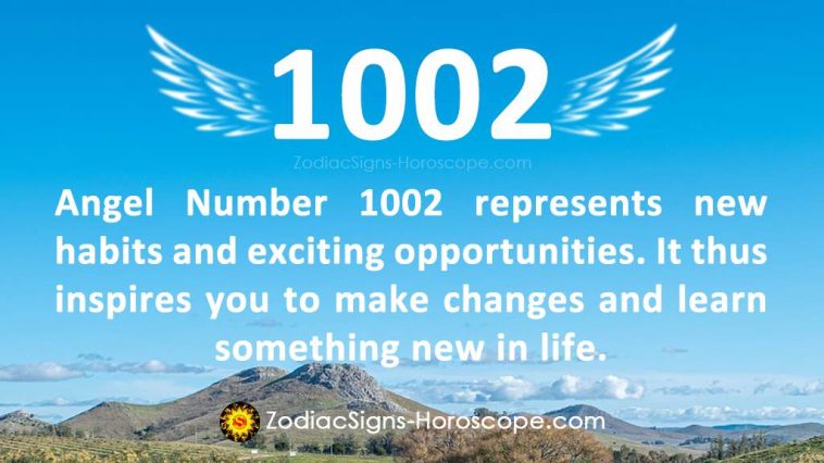 Angel Number 1002 Meaning