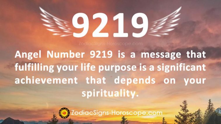 Angel Number 9219 Meaning