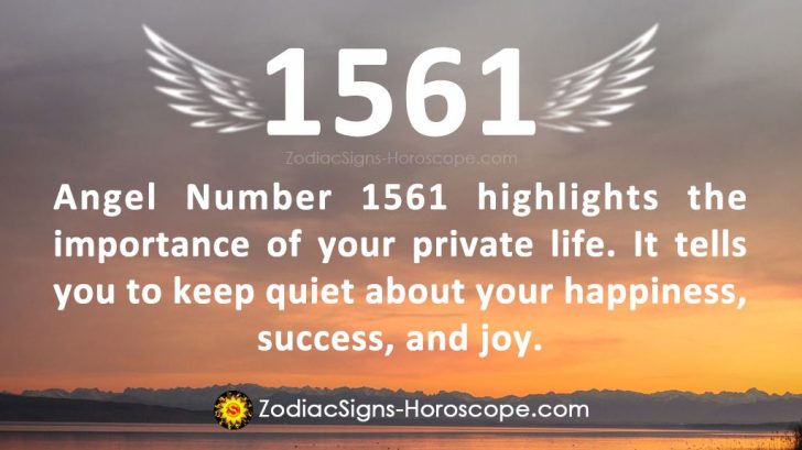 Angel Number 1561 Meaning: Private Life | 1561 Numerology