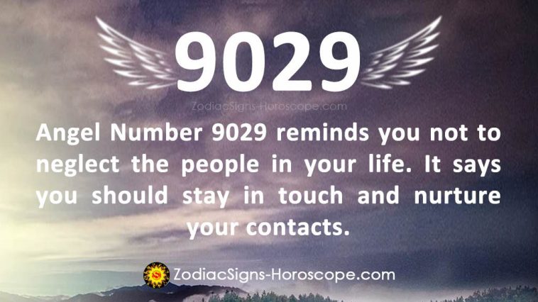 Angel Number 9029 Meaning