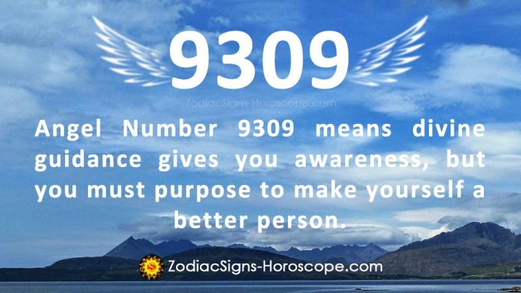 Angel Number 9309 Meaning