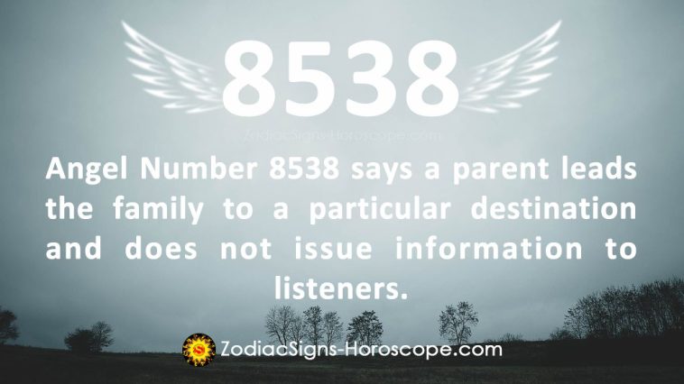 Значење броја анђела 8538