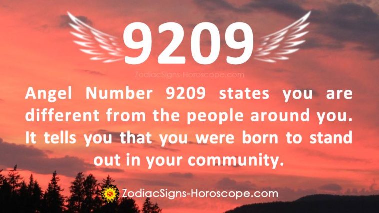 Angel Number 9209 Meaning