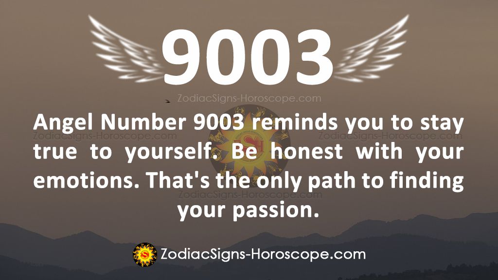 Angel Number 9003 In Conversation Means Dreams Coming to Pass