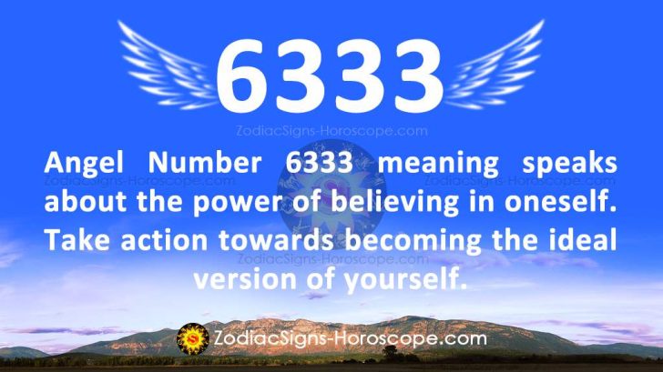 6333