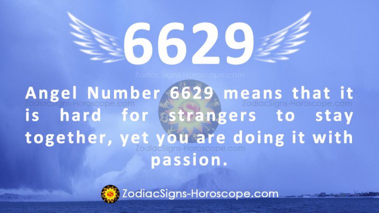 Angel Number 6629 Meaning