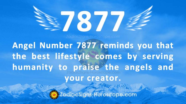 Angel Number 7877 Meaning