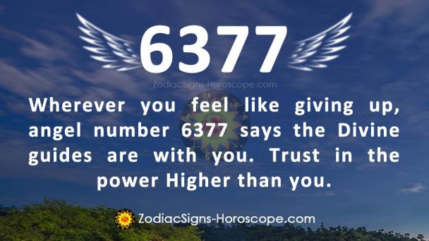 Seeing Angel Number 6377 Twin Flame Reunion: Breed Gratitude