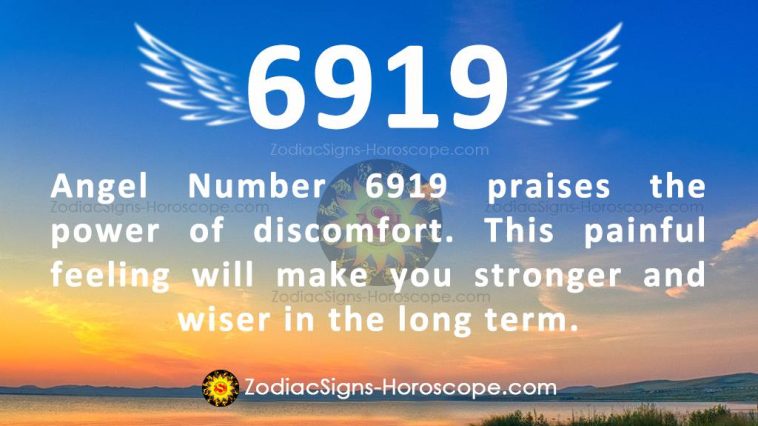 Angel Number 6919 Meaning