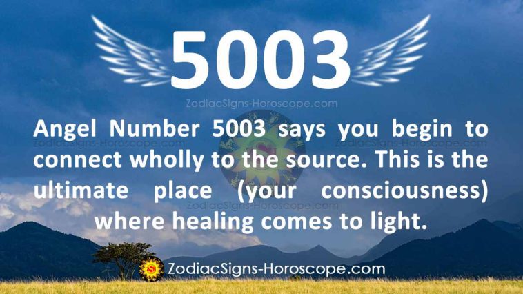 Anghel Number 5003 Meaning