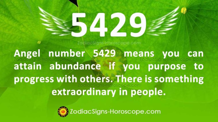 Angel Number 5429 Meaning