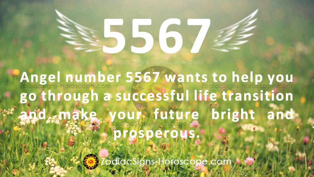 10 of 5567