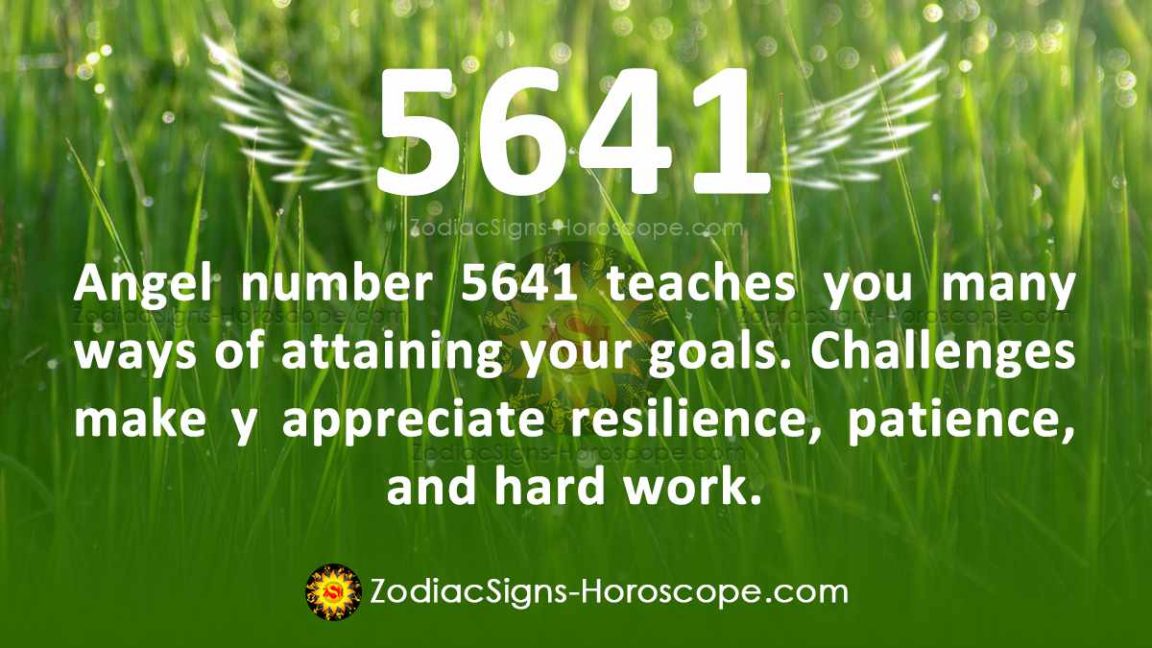 FACTORS OF 5641 visual data 6