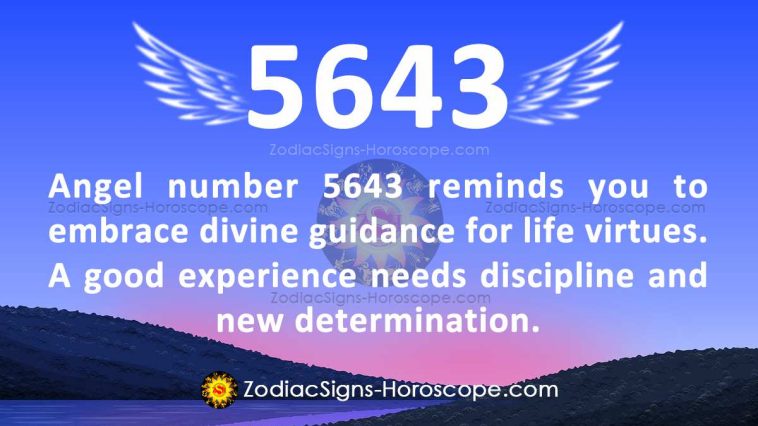Angel Number 5643 Meaning