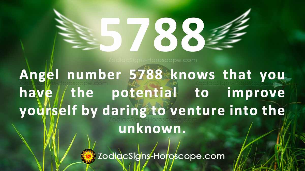 Great Insights of Seeing Angel Number 5788 Open the Way
