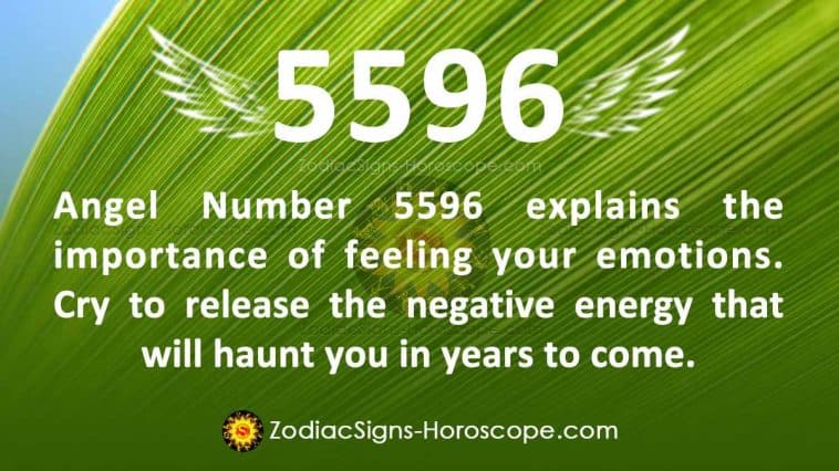 Angel Number 5596 Meaning