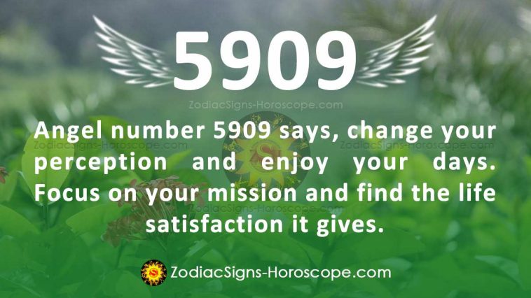 Angel Number 5909 Meaning
