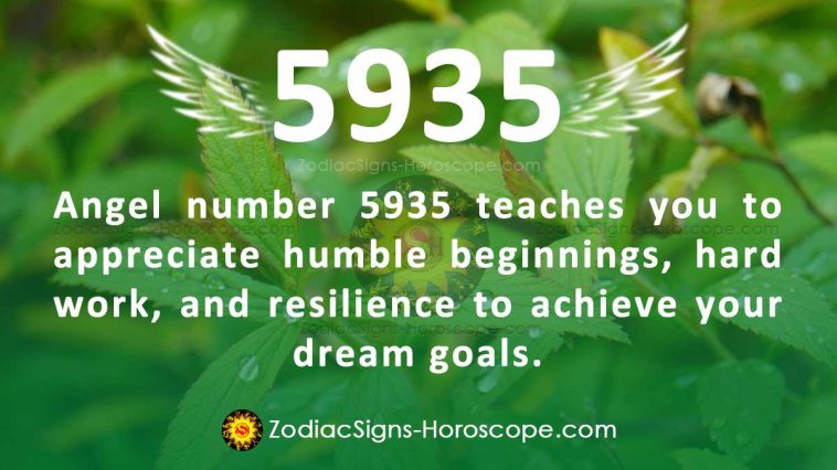 Angel Number 5935 Meaning