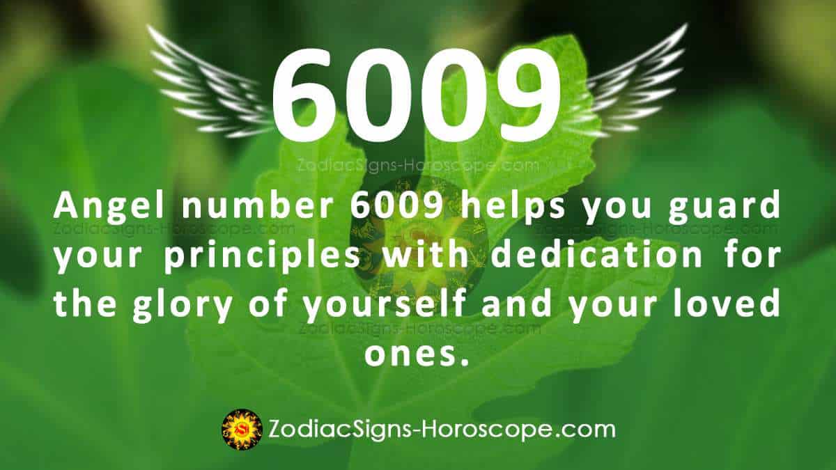 what is 20 of 6009
