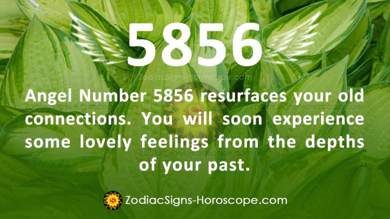 Angel Number 5856 Meaning