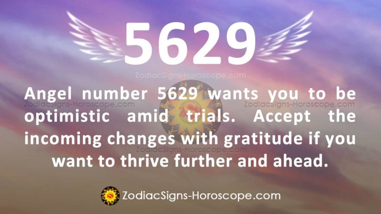 Angel Number 5629 Meaning
