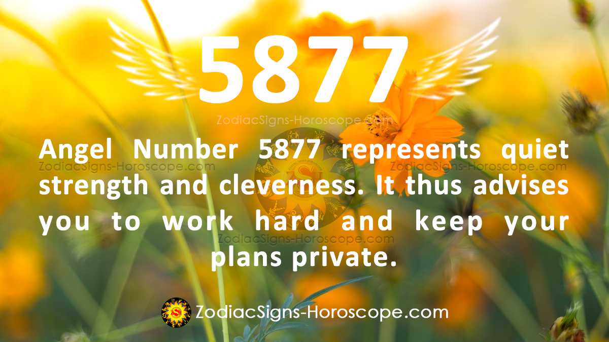 The Symbolism of Angel Number 5877: Quiet Strength and Cunning