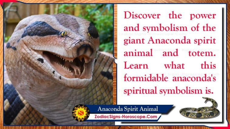 Anaconda Spirit Animal Meaning