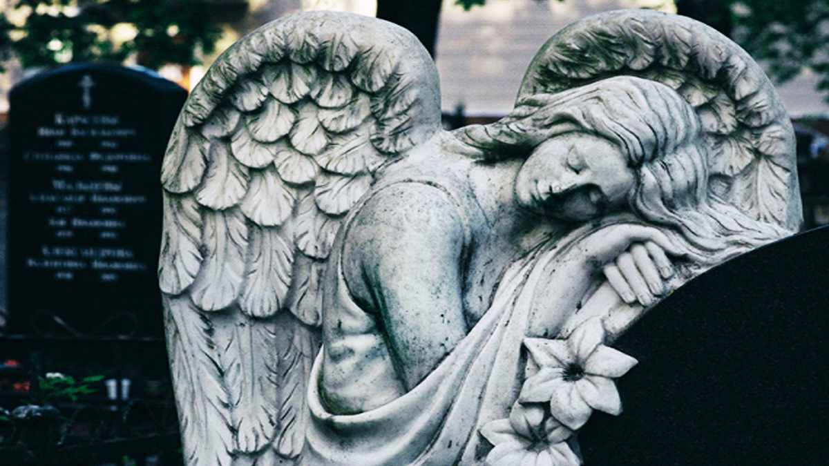 The Angel Numbers Handbook