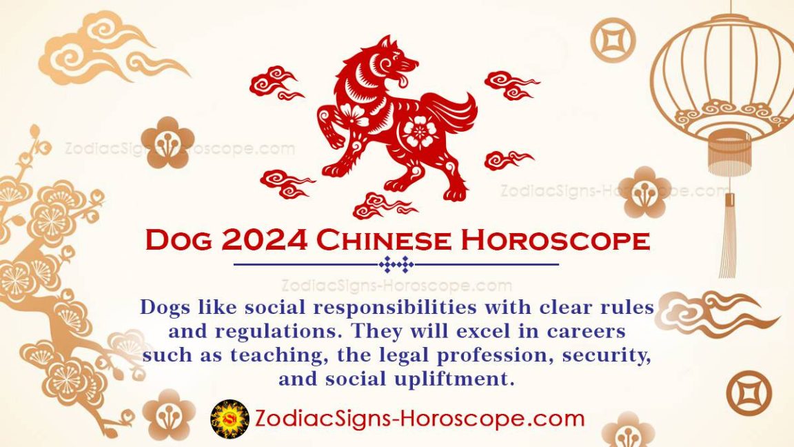 Dog Horoscope 2024 Predictions Your AllAround Progress ZodiacSigns