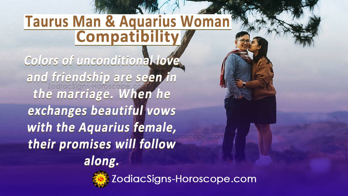 Taurus Man and Aquarius Woman Compatibility in Love, and Intimacy ...