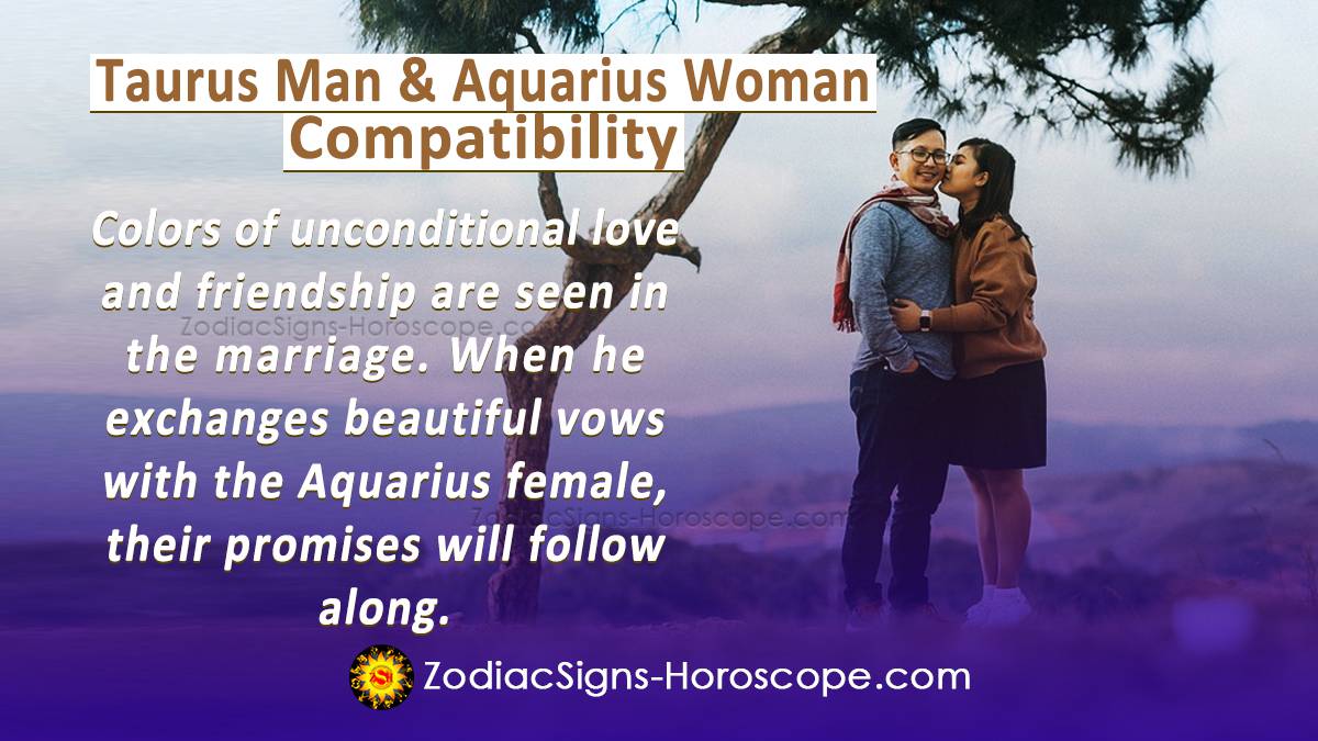 Taurus Man and Aquarius Woman Compatibility in Love, and Intimacy