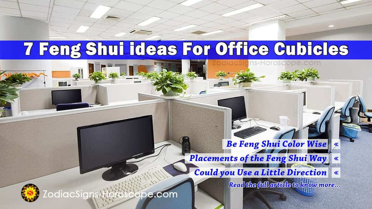 7 Feng Shui Ideas For Office Cubicles to Get Positive Vibes
