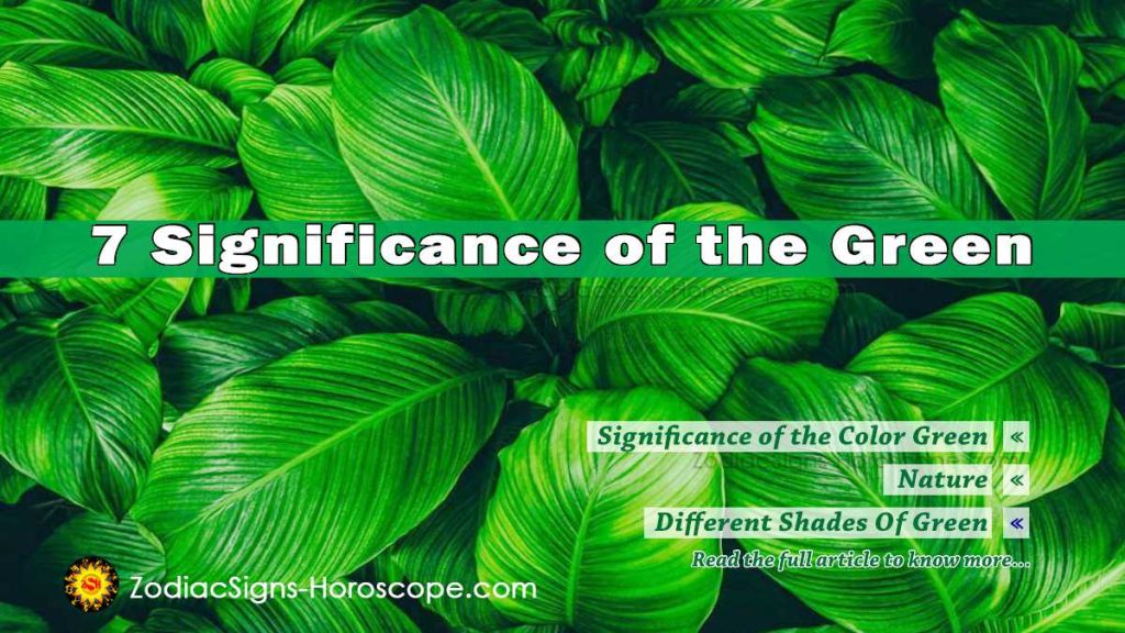 The Significance Of The Green Color In Feng Shui - ZodiacSigns ...