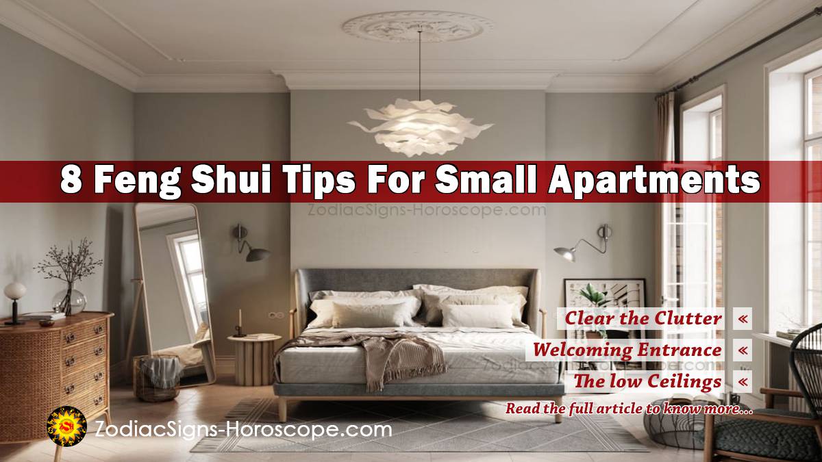 8 Best Feng Shui Tips For Your Small Apartment to Get More Chi
