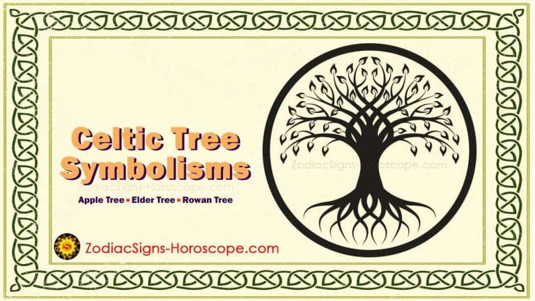 Understanding Celtic Tree Symbolism: Apple Tree, Rowan Tree, and More ...