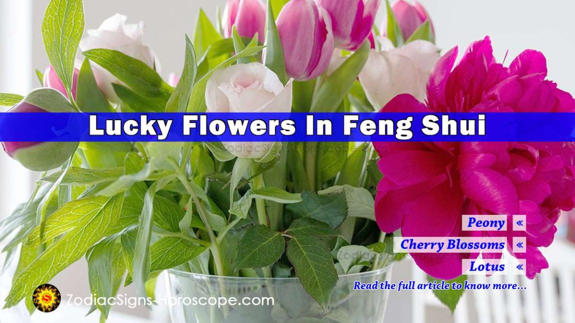 7 Best Flowers in Feng Shui to Bring Good Luck & Positivity in Life
