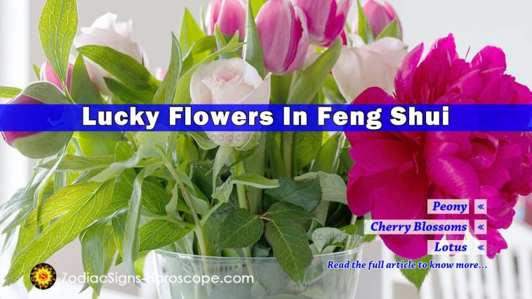 Best Flowers in Feng Shui