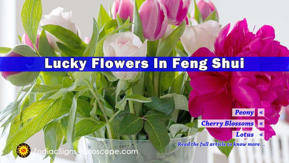 7 Best Flowers in Feng Shui to Bring Good Luck & Positivity in Life