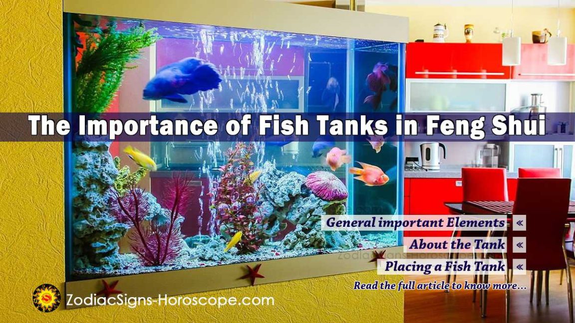 View of The Importance of Fish Tank in Feng Shui to Get Positive Energy ...