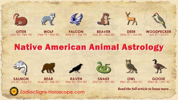 Native American Animal Astrology