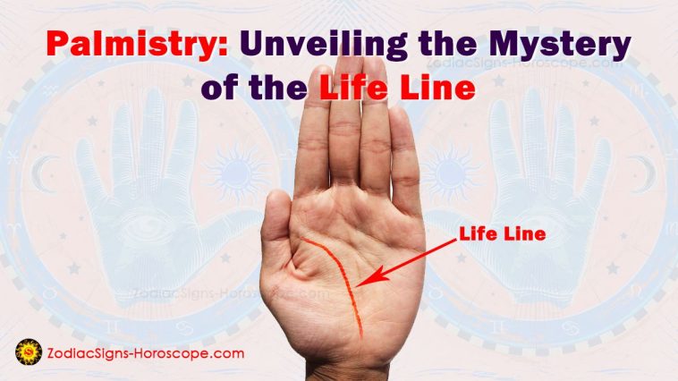 Life Line in Your Palm