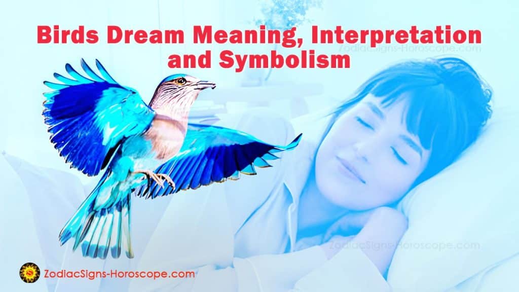 Birds Dream Meaning, Interpretation, and Symbolism ZodiacSigns