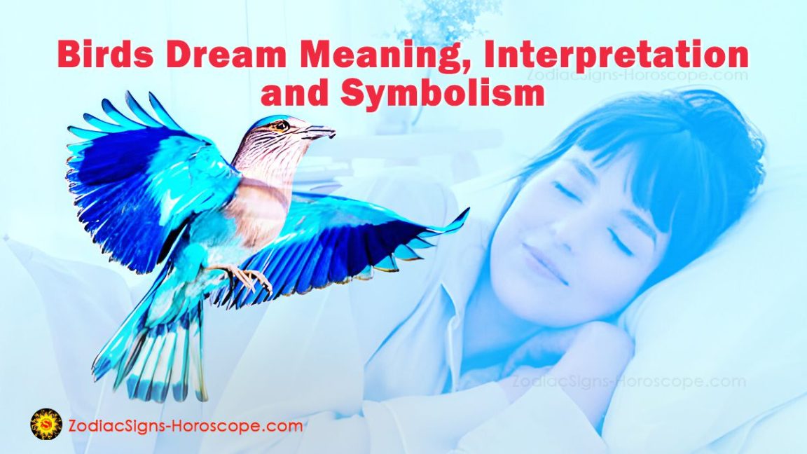 Birds Dream Meaning, Interpretation, and Symbolism