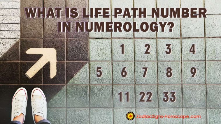 Life Path Number Meaning